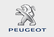 Запчасти Peugeot купить в Липецке